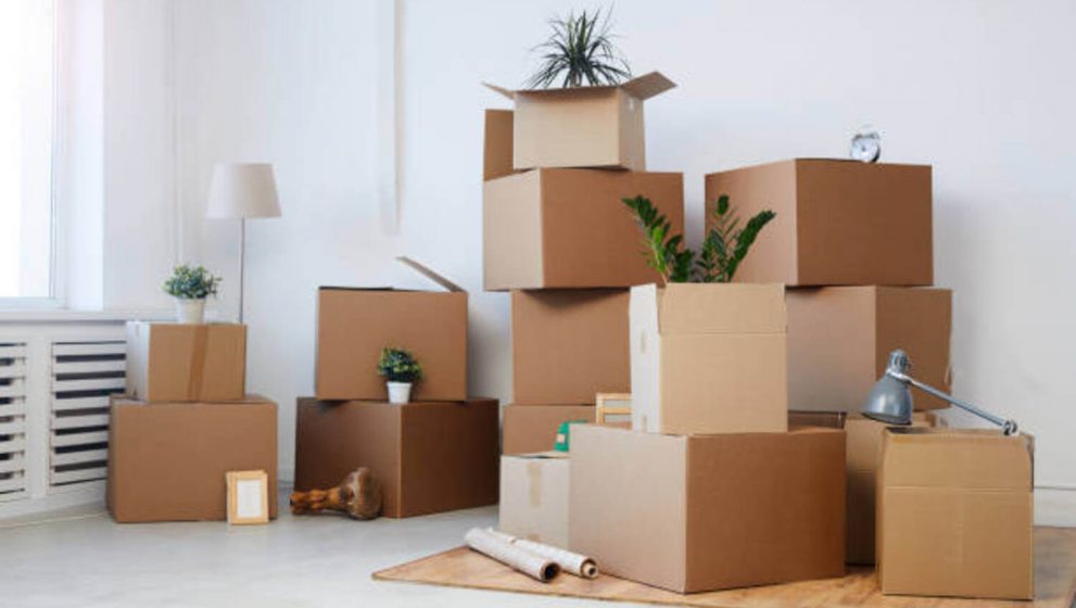 DIY Move vs. Hiring Professional Local Movers